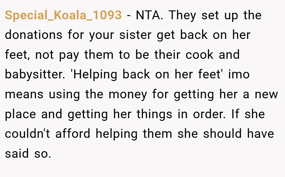 Special_Koala_1093 − NTA. They set up the donations for your sister get back on her feet, not pay them to be their cook and babysitter. 'Helping back on her feet' imo means using the money for getting her a new place and getting her things in order. If she couldn't afford helping them she should have said so.