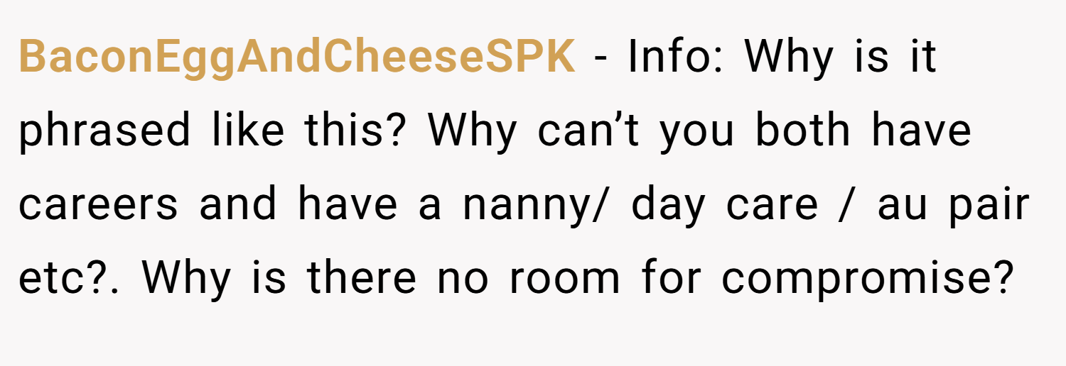 BaconEggAndCheeseSPK − Info: Why is it phrased like this? Why can’t you both have careers and have a nanny/ day care / au pair etc?. Why is there no room for compromise?