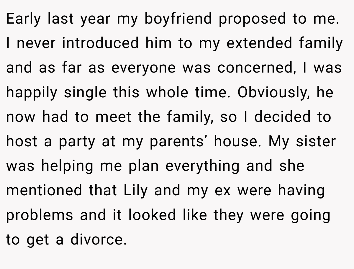 Early last year my boyfriend proposed to me. I never introduced him to my extended family and as far as everyone was concerned, I was happily single this whole time. Obviously, he now had to meet the family, so I decided to host a party at my parents’ house. My sister was helping me plan everything and she mentioned that Lily and my ex were having problems and it looked like they were going to get a divorce.