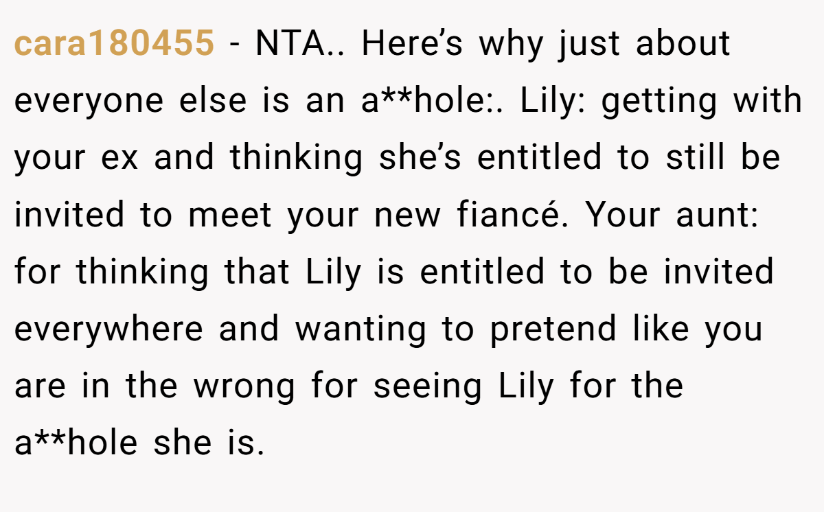 cara180455 − NTA.. Here’s why just about everyone else is an a**hole:. Lily: getting with your ex and thinking she’s entitled to still be invited to meet your new fiancé. Your aunt: for thinking that Lily is entitled to be invited everywhere and wanting to pretend like you are in the wrong for seeing Lily for the a**hole she is.