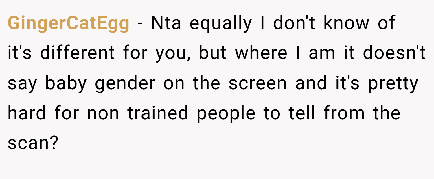 GingerCatEgg − Nta equally I don't know of it's different for you, but where I am it doesn't say baby gender on the screen and it's pretty hard for non trained people to tell from the scan?
