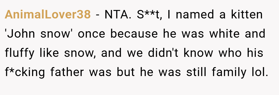 AnimalLover38 − NTA. S**t, I named a kitten 'John snow' once because he was white and fluffy like snow, and we didn't know who his f*cking father was but he was still family lol.