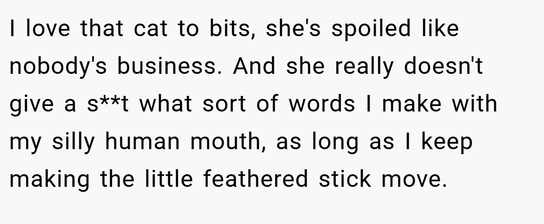I love that cat to bits, she's spoiled like nobody's business. And she really doesn't give a s**t what sort of words I make with my silly human mouth, as long as I keep making the little feathered stick move.
