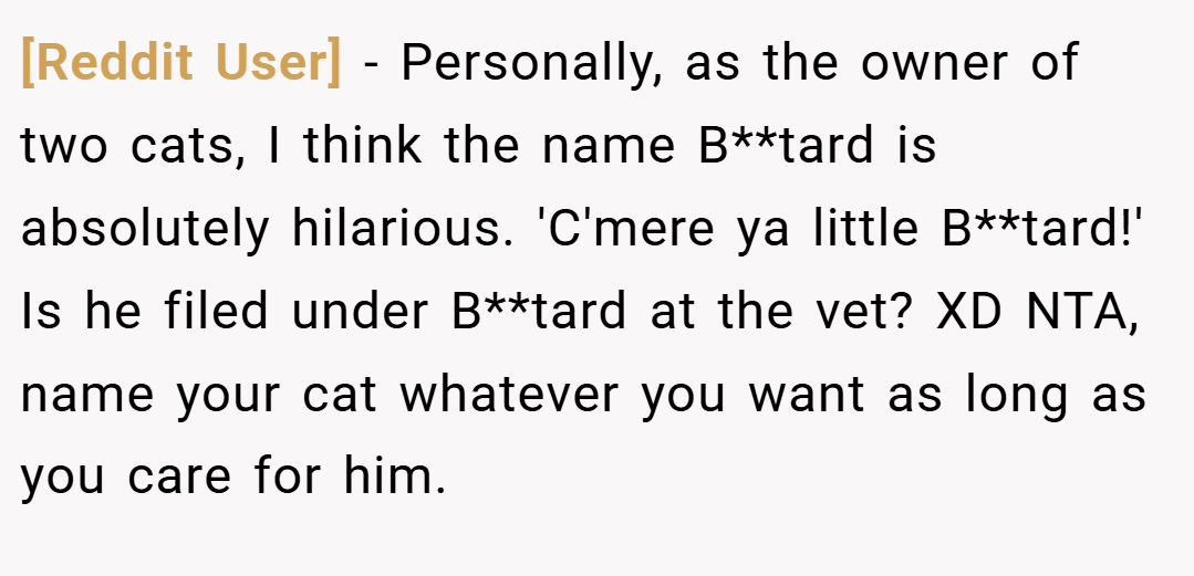 [Reddit User] − Personally, as the owner of two cats, I think the name B**tard is absolutely hilarious. 'C'mere ya little B**tard!' Is he filed under B**tard at the vet? XD NTA, name your cat whatever you want as long as you care for him.