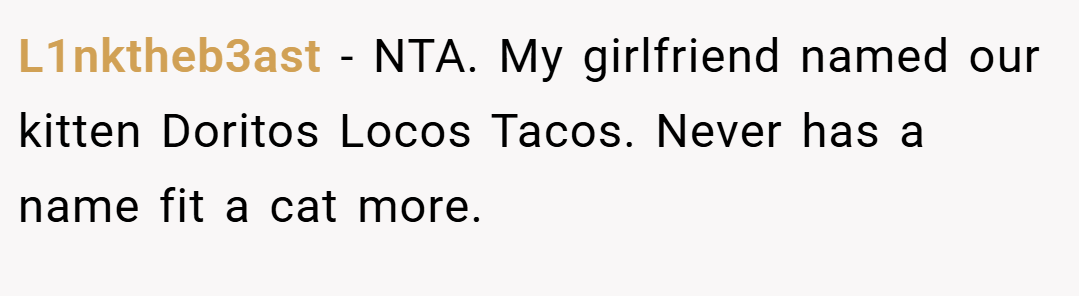 L1nktheb3ast − NTA. My girlfriend named our kitten Doritos Locos Tacos. Never has a name fit a cat more.