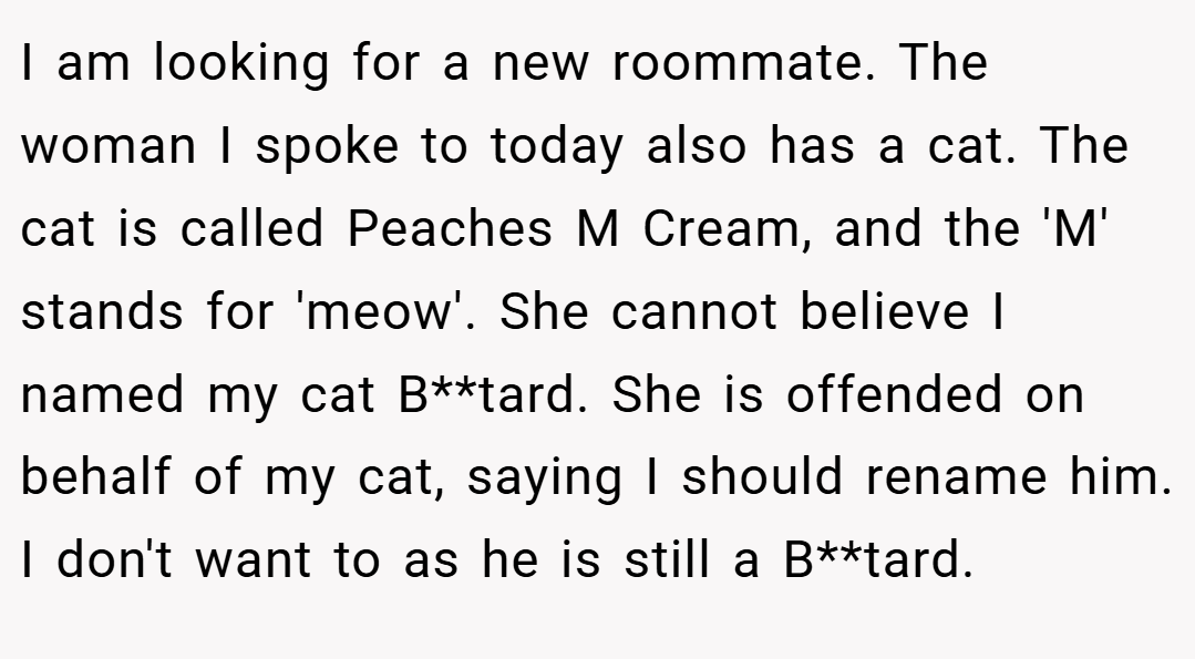 I am looking for a new roommate. The woman I spoke to today also has a cat. The cat is called Peaches M Cream, and the 'M' stands for 'meow'. She cannot believe I named my cat B**tard. She is offended on behalf of my cat, saying I should rename him. I don't want to as he is still a B**tard.