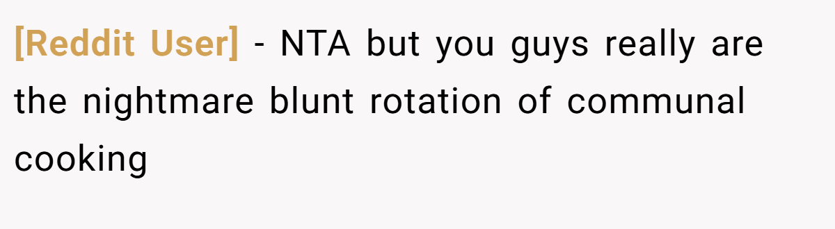 [Reddit User] − NTA but you guys really are the nightmare blunt rotation of communal cooking