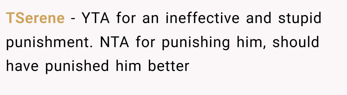 TSerene - YTA for an ineffective and stupid punishment. NTA for punishing him, should have punished him better