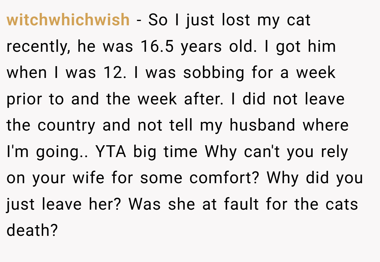 witchwhichwish - So I just lost my cat recently, he was 16.5 years old. I got him when I was 12. I was sobbing for a week prior to and the week after. I did not leave the country and not tell my husband where I'm going.. YTA big time Why can't you rely on your wife for some comfort? Why did you just leave her? Was she at fault for the cats death?