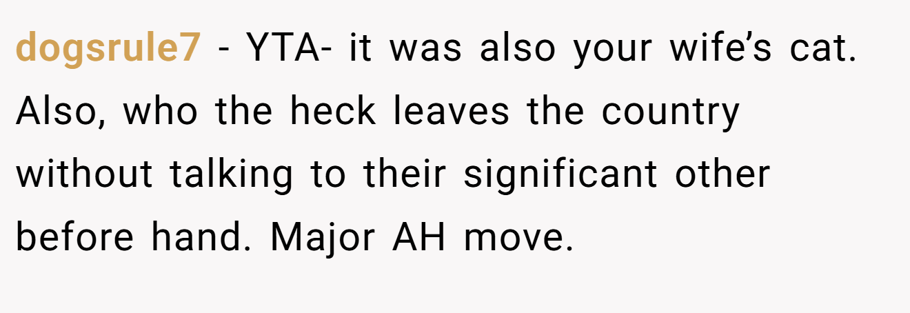 dogsrule7 - YTA- it was also your wife’s cat. Also, who the heck leaves the country without talking to their significant other before hand. Major AH move.