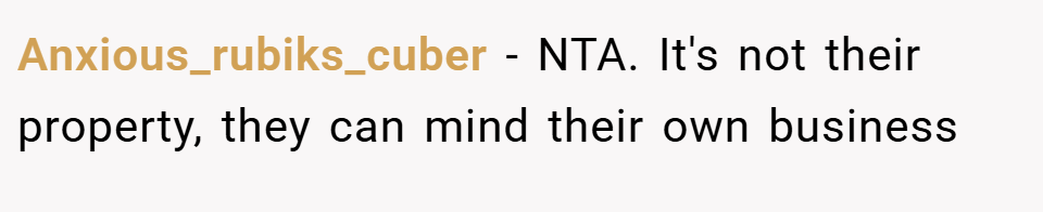 Anxious_rubiks_cuber − NTA. It's not their property, they can mind their own business