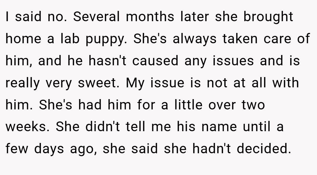 I said no. Several months later she brought home a lab puppy. She's always taken care of him, and he hasn't caused any issues and is really very sweet. My issue is not at all with him. She's had him for a little over two weeks. She didn't tell me his name until a few days ago, she said she hadn't decided.