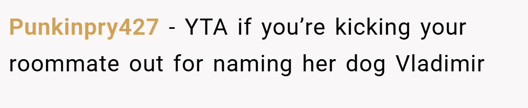 Punkinpry427 − YTA if you’re kicking your roommate out for naming her dog Vladimir