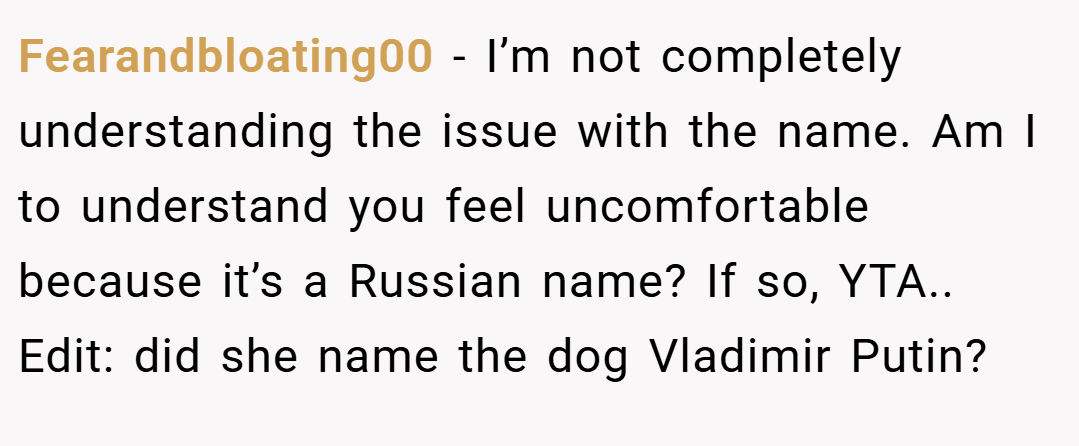 Fearandbloating00 − I’m not completely understanding the issue with the name. Am I to understand you feel uncomfortable because it’s a Russian name? If so, YTA.. Edit: did she name the dog Vladimir Putin?
