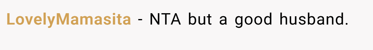 LovelyMamasita - NTA but a good husband.