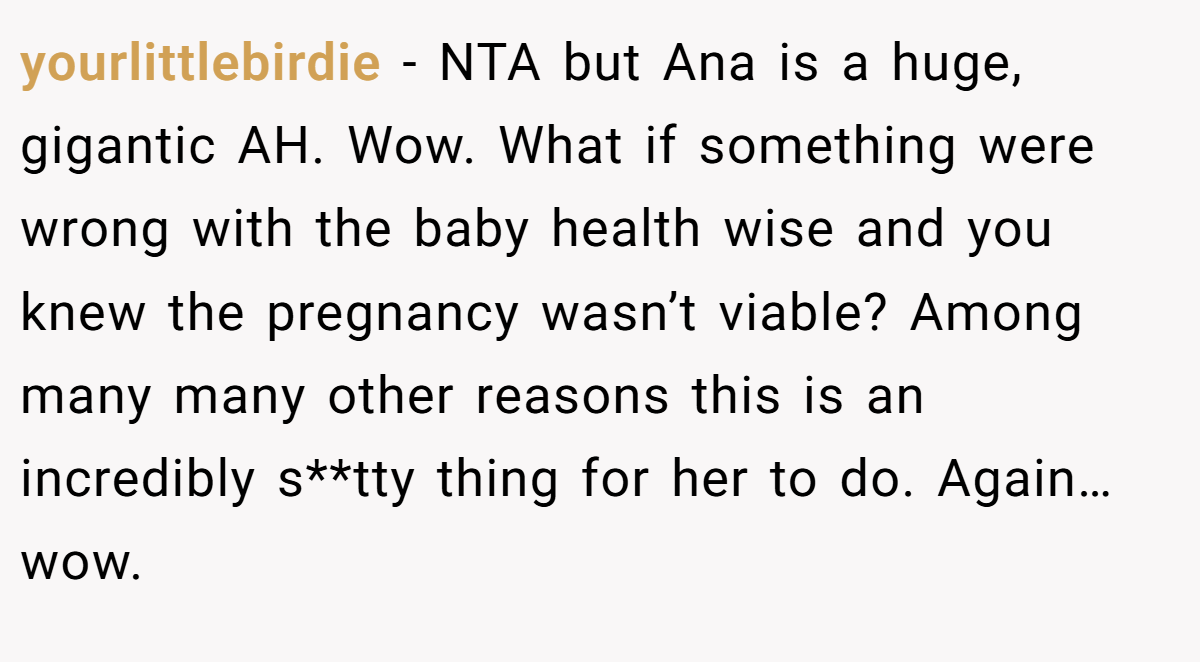 yourlittlebirdie − NTA but Ana is a huge, gigantic AH. Wow. What if something were wrong with the baby health wise and you knew the pregnancy wasn’t viable? Among many many other reasons this is an incredibly s**tty thing for her to do. Again…wow.