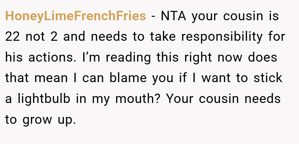HoneyLimeFrenchFries − NTA your cousin is 22 not 2 and needs to take responsibility for his actions. I’m reading this right now does that mean I can blame you if I want to stick a lightbulb in my mouth? Your cousin needs to grow up.