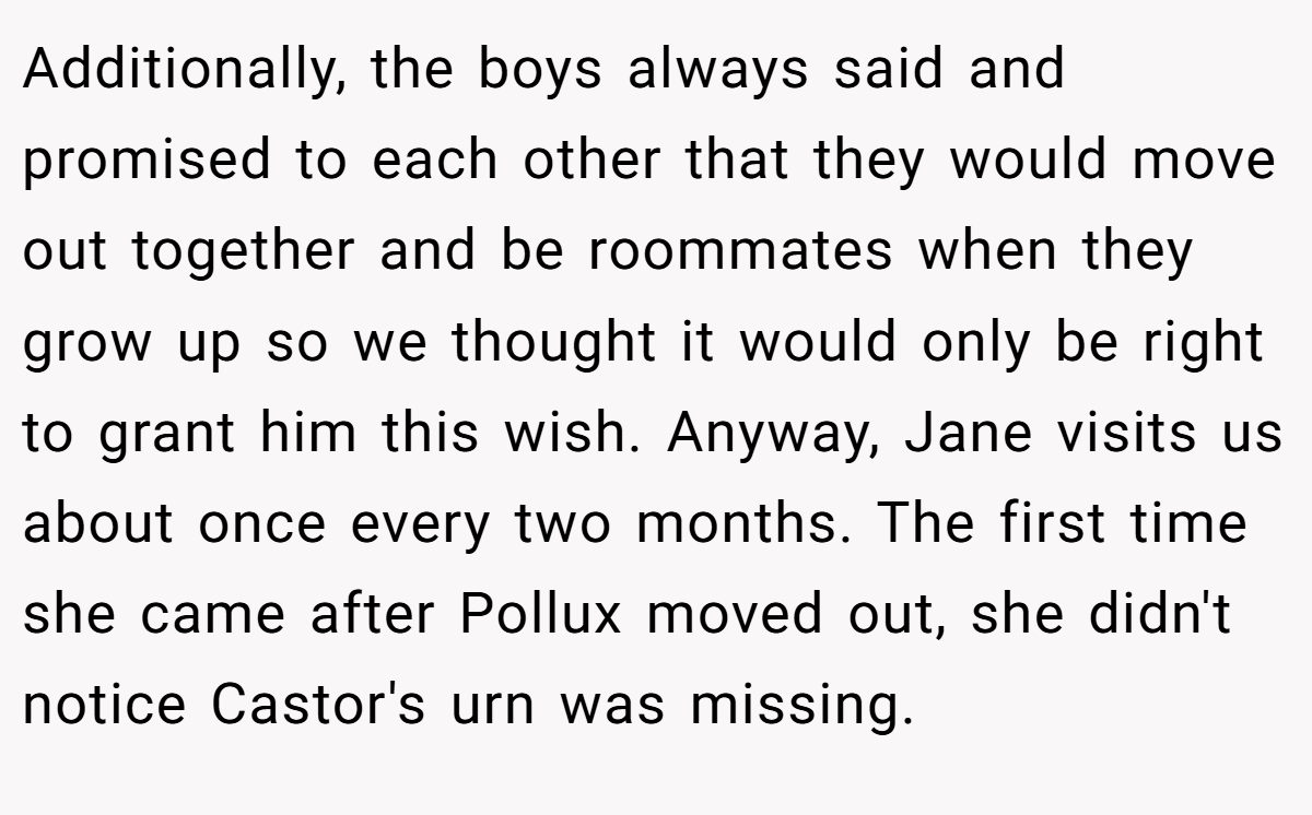Additionally, the boys always said and promised to each other that they would move out together and be roommates when they grow up so we thought it would only be right to grant him this wish. Anyway, Jane visits us about once every two months. The first time she came after Pollux moved out, she didn't notice Castor's urn was missing.
