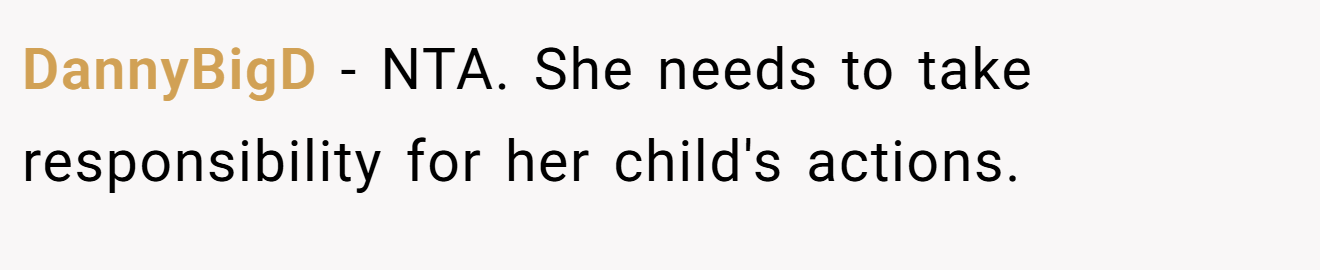 DannyBigD - NTA. She needs to take responsibility for her child's actions.