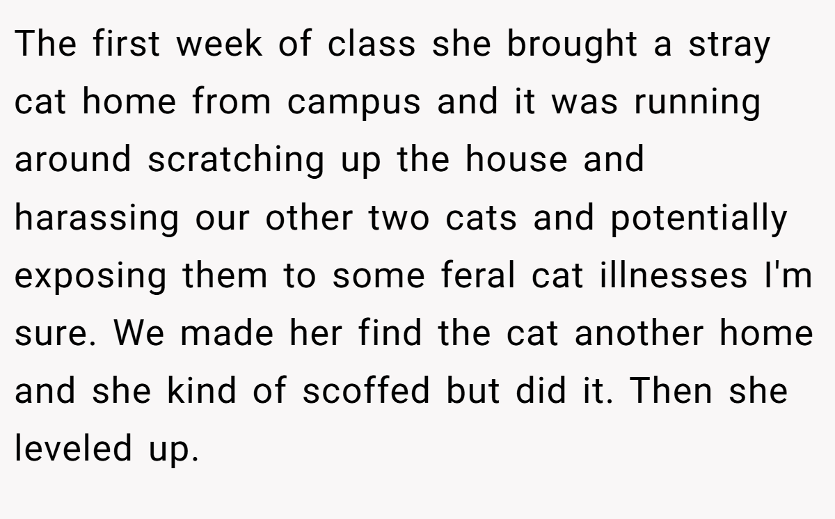 The first week of class she brought a stray cat home from campus and it was running around scratching up the house and harassing our other two cats and potentially exposing them to some feral cat illnesses I'm sure. We made her find the cat another home and she kind of scoffed but did it. Then she leveled up.