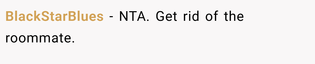 BlackStarBlues - NTA. Get rid of the roommate.