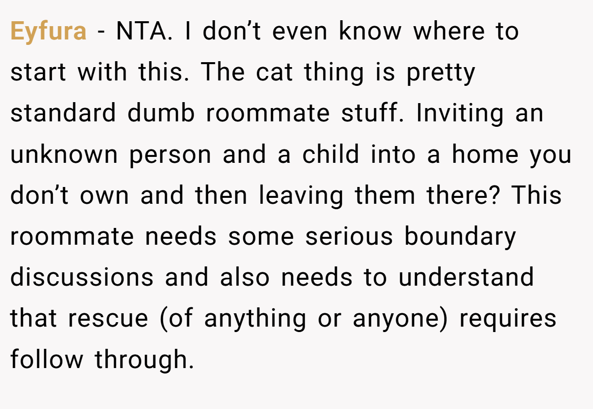 Eyfura - NTA. I don’t even know where to start with this. The cat thing is pretty standard dumb roommate stuff. Inviting an unknown person and a child into a home you don’t own and then leaving them there? This roommate needs some serious boundary discussions and also needs to understand that rescue (of anything or anyone) requires follow through.