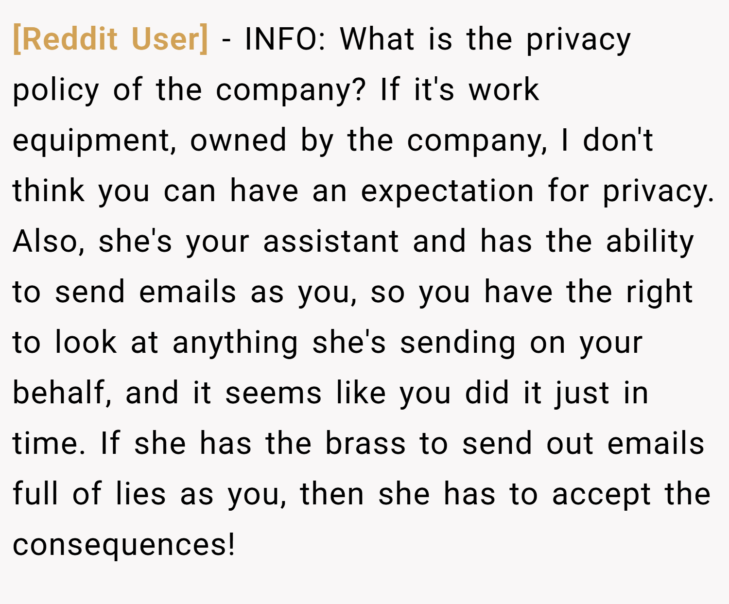 [Reddit User] − INFO: What is the privacy policy of the company? If it's work equipment, owned by the company, I don't think you can have an expectation for privacy. Also, she's your assistant and has the ability to send emails as you, so you have the right to look at anything she's sending on your behalf, and it seems like you did it just in time. If she has the brass to send out emails full of lies as you, then she has to accept the consequences!