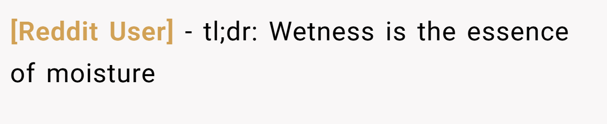 [Reddit User] − tl;dr: Wetness is the essence of moisture