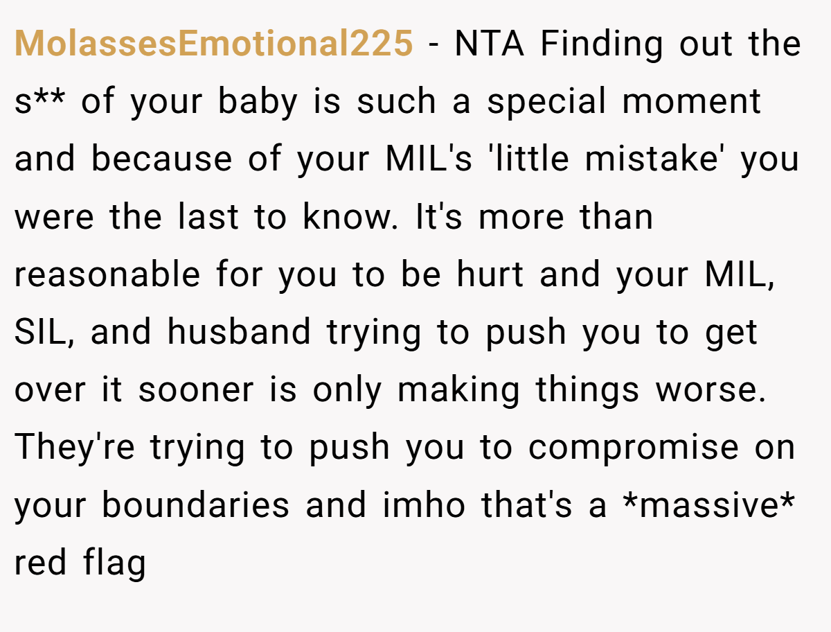 MolassesEmotional225 − NTA Finding out the s** of your baby is such a special moment and because of your MIL's 'little mistake' you were the last to know. It's more than reasonable for you to be hurt and your MIL, SIL, and husband trying to push you to get over it sooner is only making things worse. They're trying to push you to compromise on your boundaries and imho that's a *massive* red flag