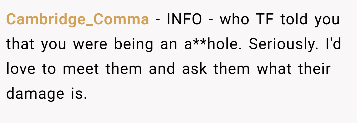 Cambridge_Comma − INFO - who TF told you that you were being an a**hole. Seriously. I'd love to meet them and ask them what their damage is.