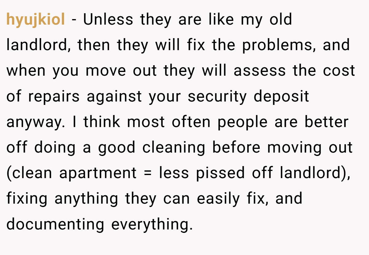 hyujkiol − Unless they are like my old landlord, then they will fix the problems, and when you move out they will assess the cost of repairs against your security deposit anyway. I think most often people are better off doing a good cleaning before moving out (clean apartment = less pissed off landlord), fixing anything they can easily fix, and documenting everything.