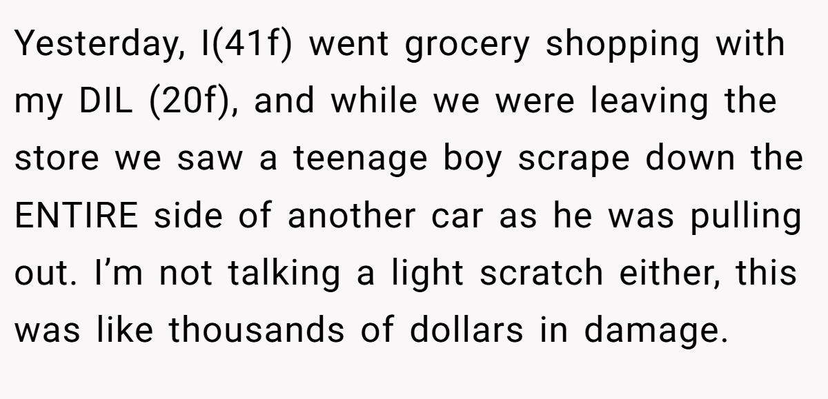 Yesterday, I(41f) went grocery shopping with my DIL (20f), and while we were leaving the store we saw a teenage boy scrape down the ENTIRE side of another car as he was pulling out. I’m not talking a light scratch either, this was like thousands of dollars in damage.