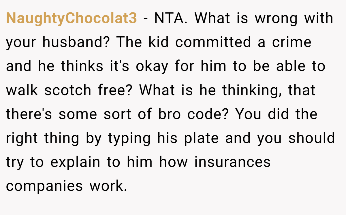 NaughtyChocolat3 - NTA. What is wrong with your husband? The kid committed a crime and he thinks it's okay for him to be able to walk scotch free? What is he thinking, that there's some sort of bro code? You did the right thing by typing his plate and you should try to explain to him how insurances companies work.