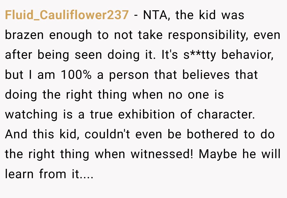 Fluid_Cauliflower237 - NTA, the kid was brazen enough to not take responsibility, even after being seen doing it. It's s**tty behavior, but I am 100% a person that believes that doing the right thing when no one is watching is a true exhibition of character. And this kid, couldn't even be bothered to do the right thing when witnessed! Maybe he will learn from it....