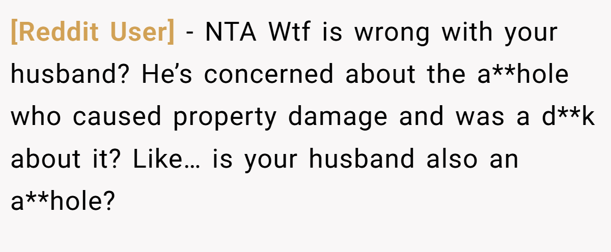 [Reddit User] - NTA Wtf is wrong with your husband? He’s concerned about the a**hole who caused property damage and was a d**k about it? Like… is your husband also an a**hole?
