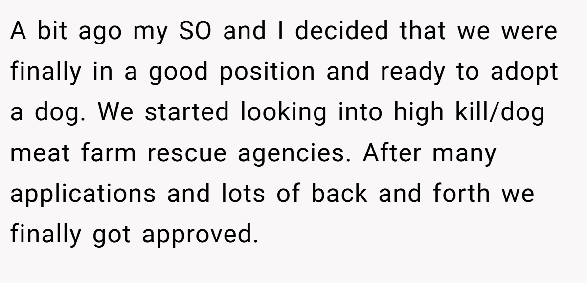 A bit ago my SO and I decided that we were finally in a good position and ready to adopt a dog. We started looking into high kill/dog meat farm rescue agencies. After many applications and lots of back and forth we finally got approved.