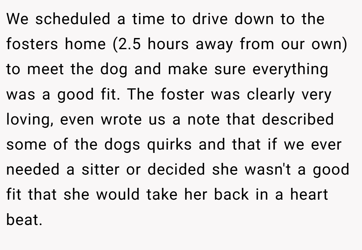 We scheduled a time to drive down to the fosters home (2.5 hours away from our own) to meet the dog and make sure everything was a good fit. The foster was clearly very loving, even wrote us a note that described some of the dogs quirks and that if we ever needed a sitter or decided she wasn't a good fit that she would take her back in a heart beat.