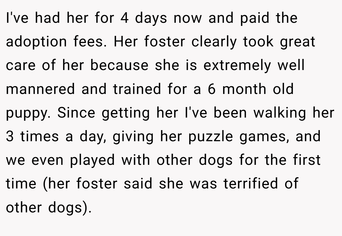 I've had her for 4 days now and paid the adoption fees. Her foster clearly took great care of her because she is extremely well mannered and trained for a 6 month old puppy. Since getting her I've been walking her 3 times a day, giving her puzzle games, and we even played with other dogs for the first time (her foster said she was terrified of other dogs).