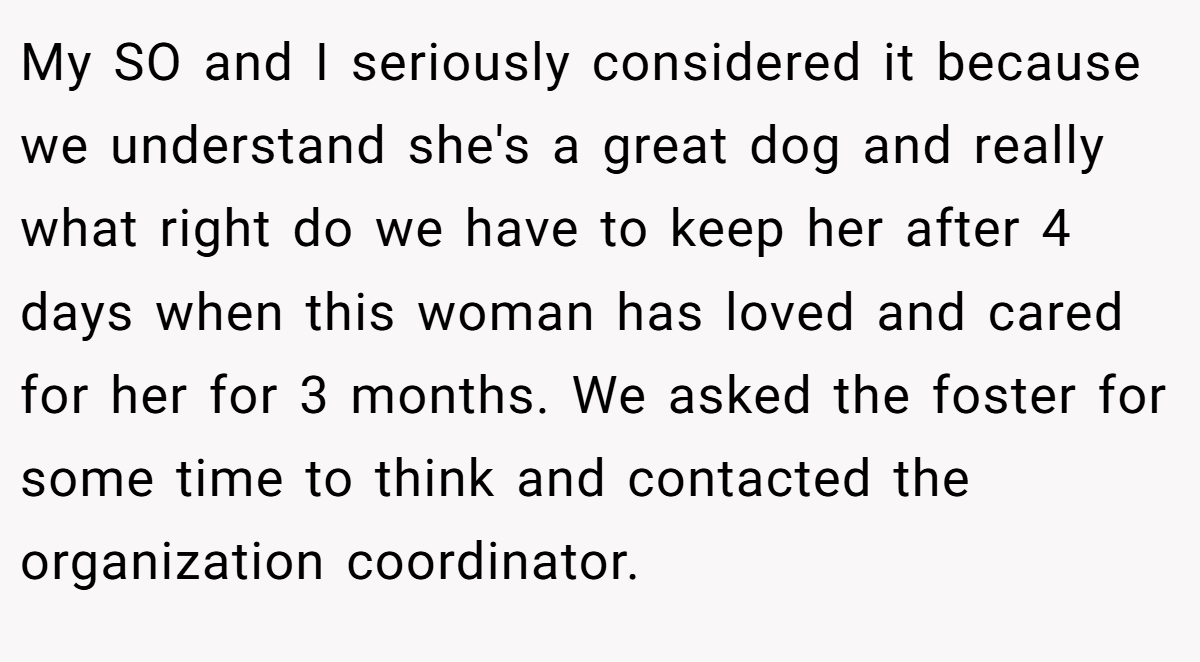 My SO and I seriously considered it because we understand she's a great dog and really what right do we have to keep her after 4 days when this woman has loved and cared for her for 3 months. We asked the foster for some time to think and contacted the organization coordinator.