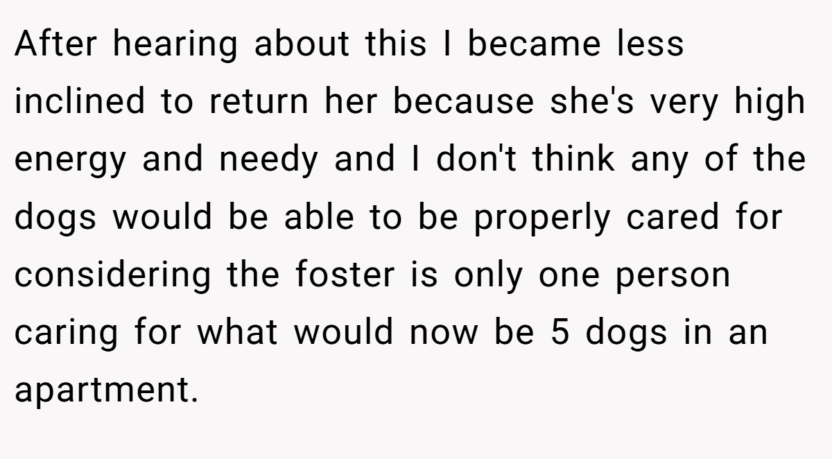 After hearing about this I became less inclined to return her because she's very high energy and needy and I don't think any of the dogs would be able to be properly cared for considering the foster is only one person caring for what would now be 5 dogs in an apartment.