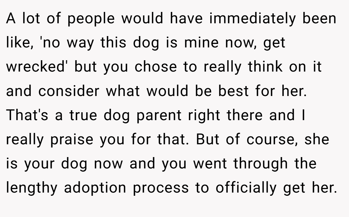 A lot of people would have immediately been like, 'no way this dog is mine now, get wrecked' but you chose to really think on it and consider what would be best for her. That's a true dog parent right there and I really praise you for that. But of course, she is your dog now and you went through the lengthy adoption process to officially get her.