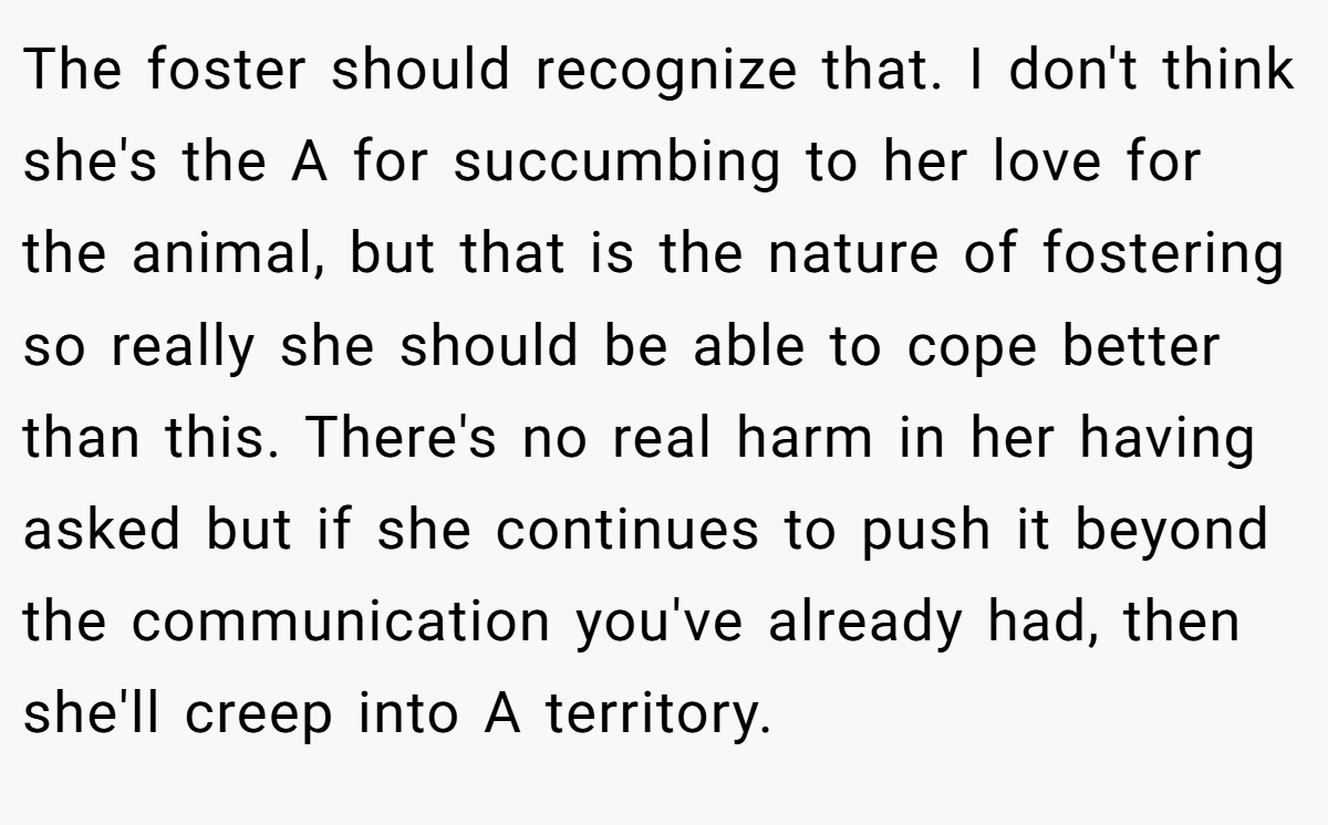 The foster should recognize that. I don't think she's the A for succumbing to her love for the animal, but that is the nature of fostering so really she should be able to cope better than this. There's no real harm in her having asked but if she continues to push it beyond the communication you've already had, then she'll creep into A territory.
