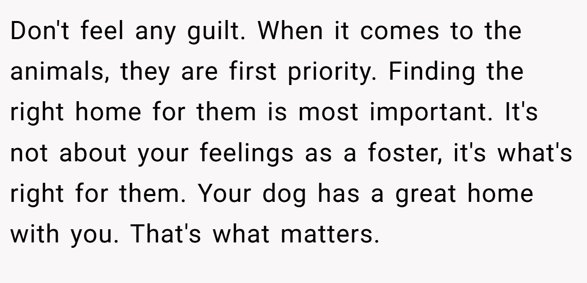 Don't feel any guilt. When it comes to the animals, they are first priority. Finding the right home for them is most important. It's not about your feelings as a foster, it's what's right for them. Your dog has a great home with you. That's what matters.