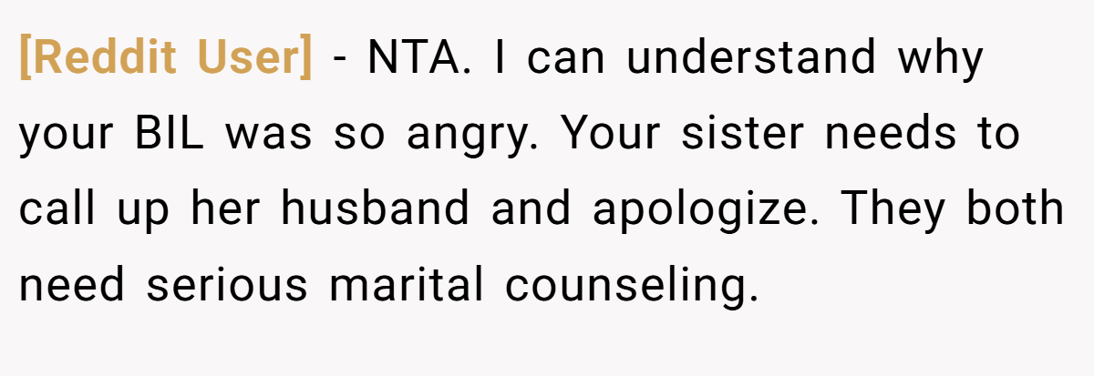 [Reddit User] - NTA. I can understand why your BIL was so angry. Your sister needs to call up her husband and apologize. They both need serious marital counseling.