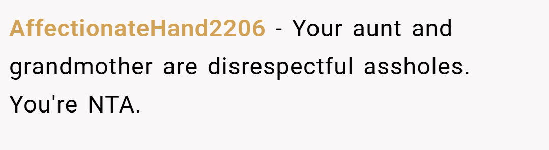 AffectionateHand2206 − Your aunt and grandmother are disrespectful assholes. You're NTA.