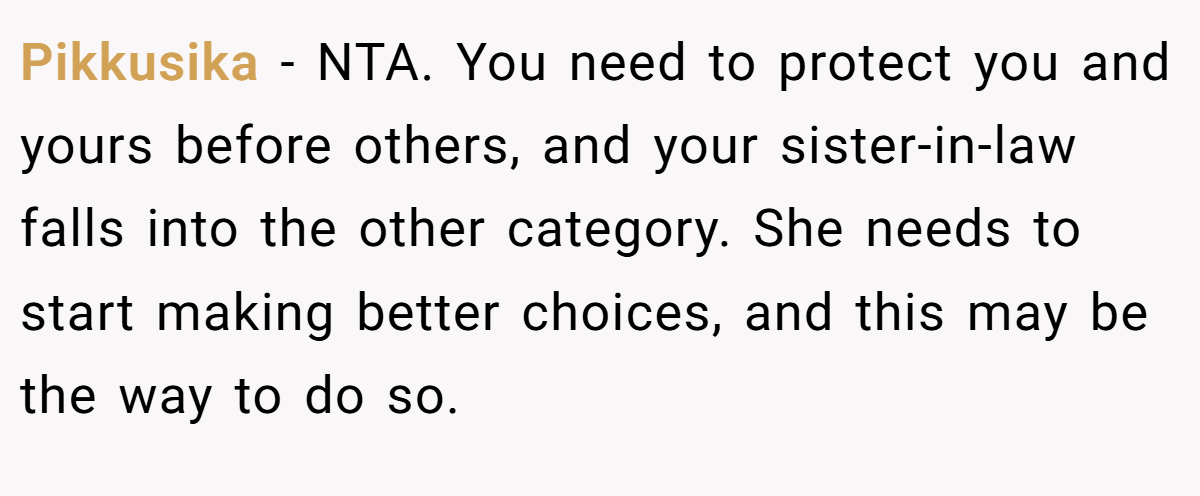 Pikkusika − NTA. You need to protect you and yours before others, and your sister-in-law falls into the other category. She needs to start making better choices, and this may be the way to do so.