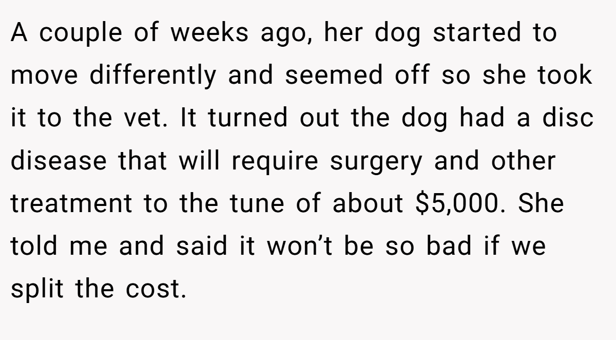 A couple of weeks ago, her dog started to move differently and seemed off so she took it to the vet. It turned out the dog had a disc disease that will require surgery and other treatment to the tune of about $5,000. She told me and said it won’t be so bad if we split the cost.