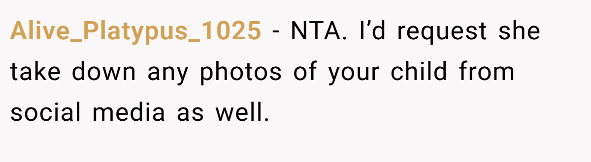 Alive_Platypus_1025 − NTA. I’d request she take down any photos of your child from social media as well.