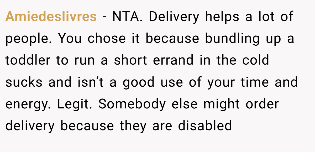 Amiedeslivres - NTA. Delivery helps a lot of people. You chose it because bundling up a toddler to run a short errand in the cold sucks and isn’t a good use of your time and energy. Legit. Somebody else might order delivery because they are disabled