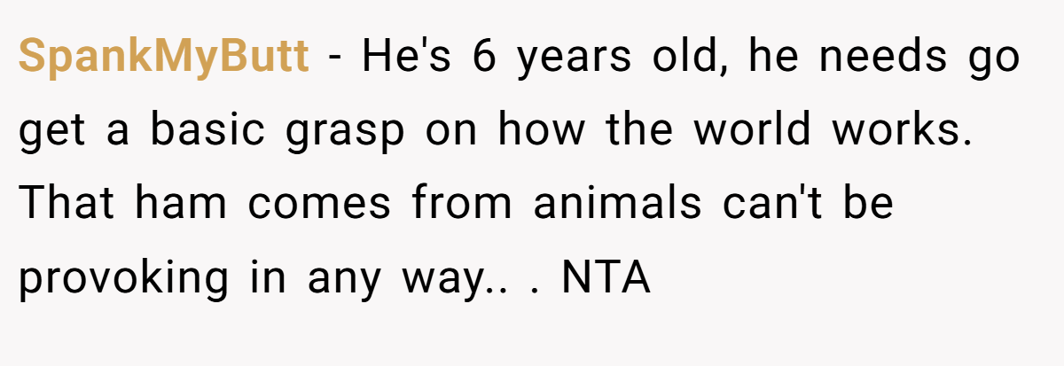 SpankMyButt − He's 6 years old, he needs go get a basic grasp on how the world works. That ham comes from animals can't be provoking in any way.. ​. NTA
